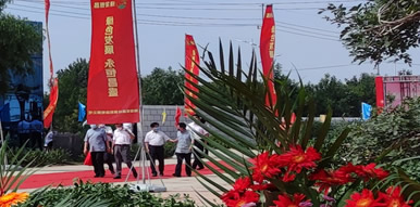 庆典问答